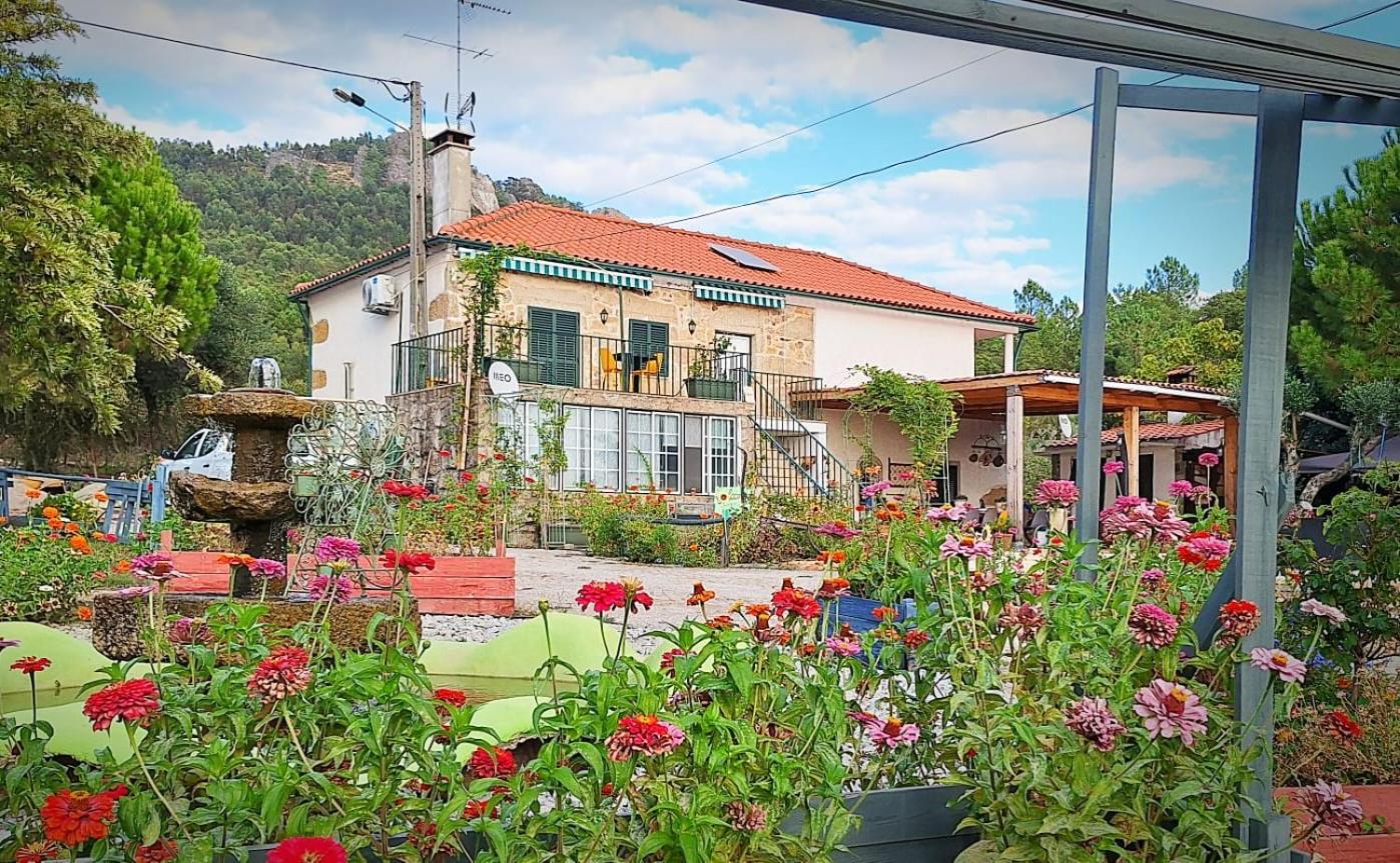 Zion Jardim Monsanto Bed & Breakfast Eksteriør bilde